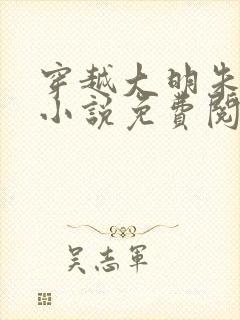 穿越大明朱祁镇小说免费阅读