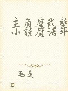 主角魔武双修的小说魔法斗气类小说封面