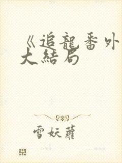 《追龙番外篇》大结局封面