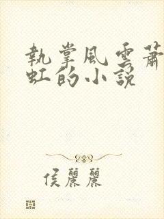 执掌风云萧峥陈虹的小说封面