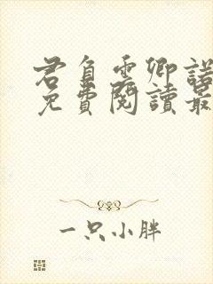 君负云卿诺全文免费阅读最新章节