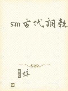 sm古代调教文