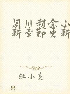 周川赵念小说最新章节更新内容