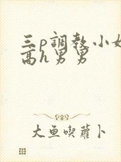 三p调教小嫩苞高h男男封面