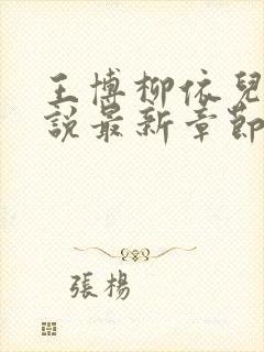 王博柳依儿的小说最新章节在线阅读封面