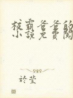 校霸爸爸的秘密小说免费阅读