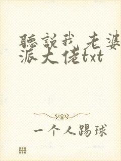 听说我老婆是反派大佬txt