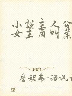 小说主人公林凡女主角叫叶惜