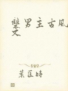 双男主古风高干文