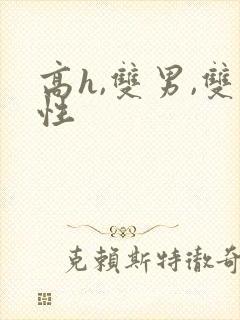 高h,双男,双性封面