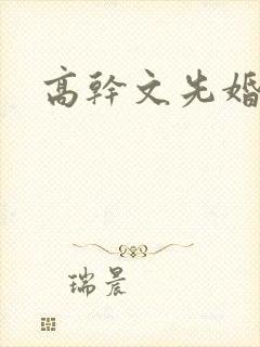 高干文先婚后爱
