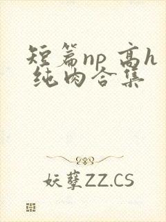 短篇np 高h 纯肉合集