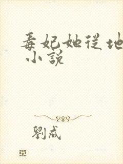 毒妃她从地狱来 小说