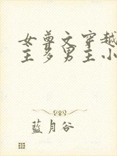 女尊文穿越一女主多男主小说完结封面