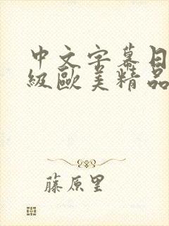 中文字幕日韩一级欧美精品