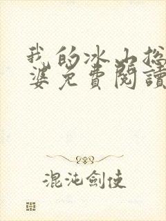 我的冰山总裁老婆免费阅读全文封面