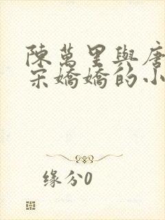 陈万里与唐嫣然宋娇娇的小说叫什么封面