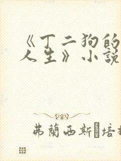 《丁二狗的逍遥人生》小说
