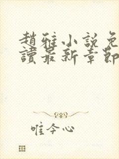 赵雅小说免费阅读最新章节