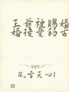 王爷被赐婚的先婚后爱的古言小说