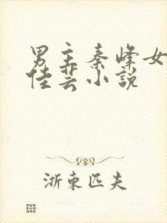 男主秦峰女主胡佳芸小说