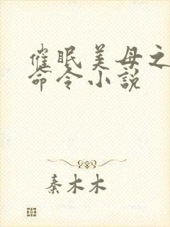 催眠美母之凌辱命令小说