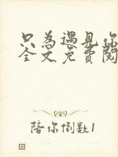 只为遇见你小说全文免费阅读