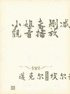 小姐未删减在线观看播放