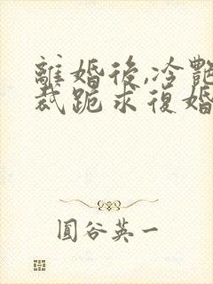 离婚后,冷艳总裁跪求复婚电子书txt下载封面
