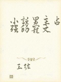 小说男主占有欲强的宠文