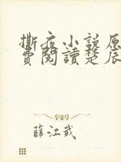 撕夜小说原著免费阅读楚辰安