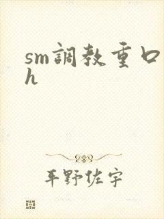 sm调教重口高h