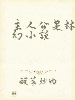 主人公是林天玄幻小说