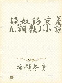 贱奴的哀羞(高h,调教)小说