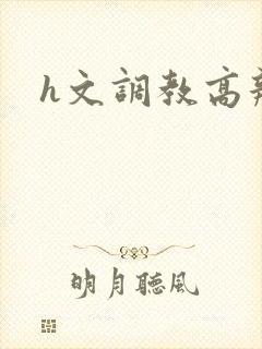 h文调教高辣封面