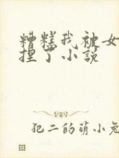 糟糕我被女帝拿捏了小说封面