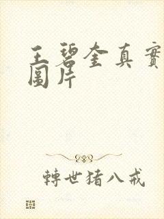 王碧奎真实长相图片封面