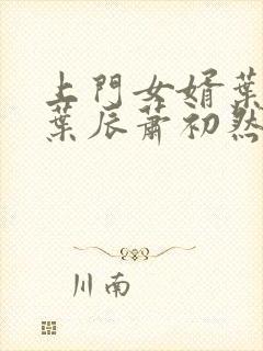 上门女婿叶辰 叶辰萧初然531