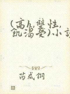 (高h,双性,饥渴受)小说