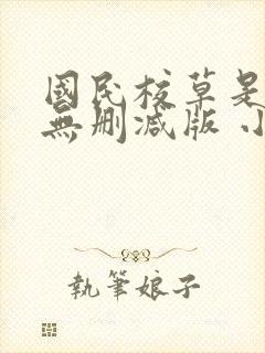 国民校草是女生无删减版 小说