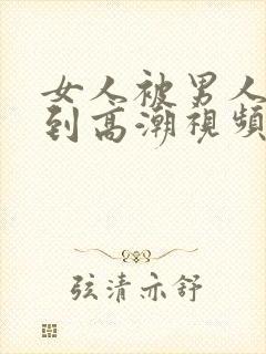 女人被男人狂操到高潮视频在线免费观看