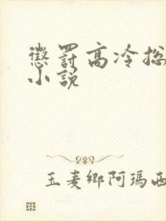 惩罚高冷总裁的小说