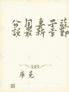 公用妻子苏晴小说最新章节更新时间