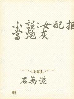 小说:女配拒绝当炮灰