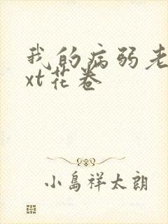 我的病弱老婆txt花卷