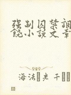 强制囚禁调教求饶小说文章封面