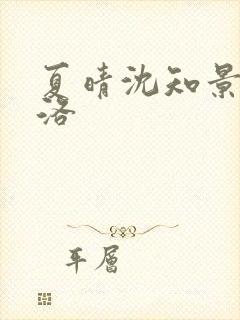 夏晴沈知景白洛洛