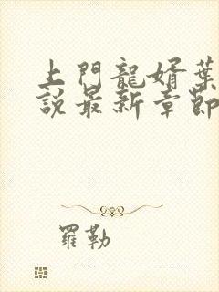 上门龙婿叶辰小说最新章节阅续