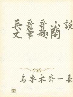 兵哥哥小说高干文笔趣阁