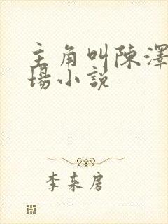 主角叫陈泽的官场小说